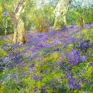 Silver Birch Wood - Painting by Carl Scanes