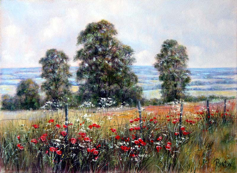 Poppies by Fence - Painting by Deborah Poynton