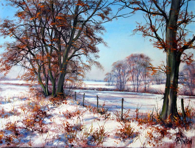 Beech Trees in Snow - Painting by Deborah Poynton