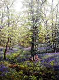 Bluebell Wood - Painting by Deborah Poynton