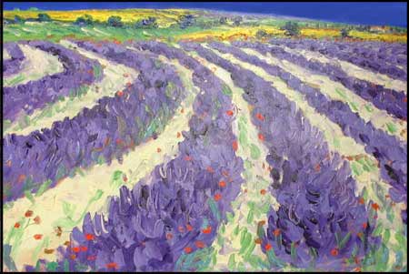 Lavender Field - Painting by John Bampfield